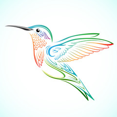 colorful hummingbird - obrazy, fototapety, plakaty