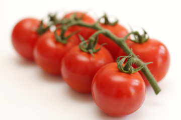 Tomatoes on the Vine