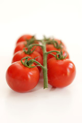 Tomatoes on the Vine