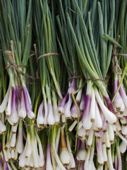 produce - organic green onions background