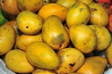 yellow mango in the market