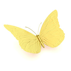 Golden butterfly isolated on white background
