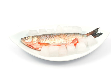 Frozen fish