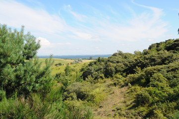 Fototapeta na wymiar Hiddensee6