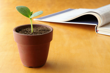 Young plant and open book