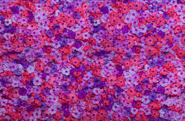 flowers background