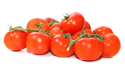 Tomatoes