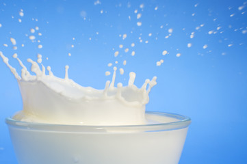 Milk splash close-up