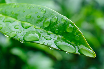 gouttes d'eau 05