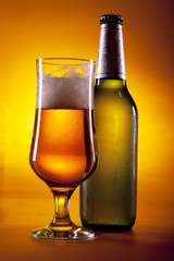 beer mug and bottle