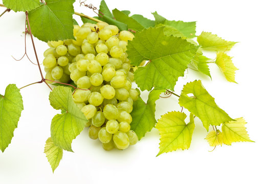 Bunch of grapes on white background