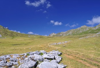 Majada en Somiedo,Asturias