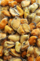 Cozze surgelate