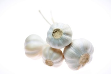 garlic
