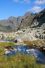 Mnichowe Stawki w Dolinie za Mnichem, Tatry