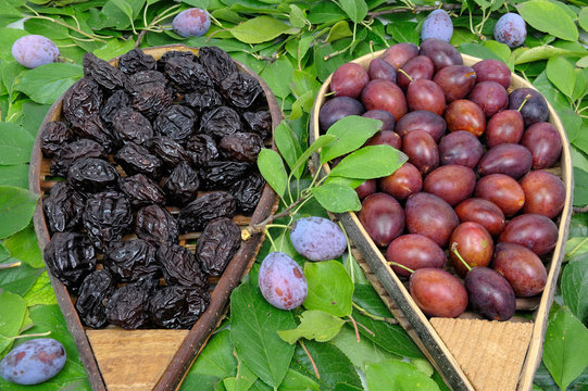 assortiment de pruneaux crus et cuits