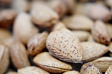 almonds in shell