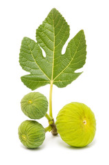 yellow figs with fig leaves