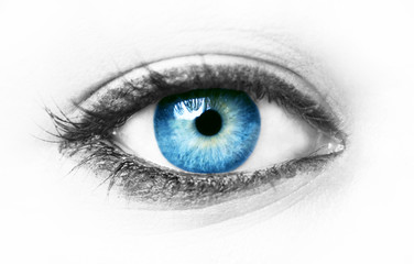 Beautiful blue eye - obrazy, fototapety, plakaty