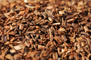 Macro of healthy red bush tea from South Africa