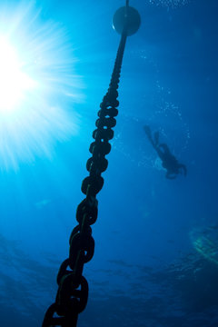 The chain of a buoy seen by a diver