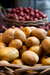 Yukon Gold Potatoes sit in a basket at a local farmers market st