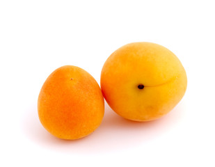 apricot
