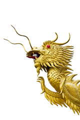 Golden dragon head  statue on white backgroud