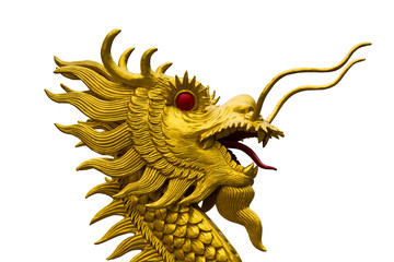 Golden dragon head  statue on white backgroud