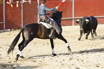 Foto auf Acrylglas Stierkampf Stierkampf zu Pferd. Typisch spanischer Stierkampf.