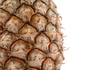 Fototapeta premium Pineapple