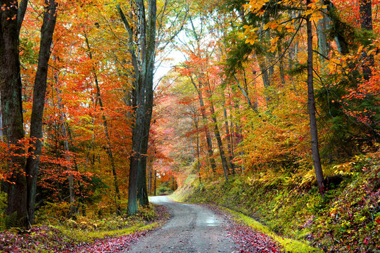 A winding road through colorful trees in autumn