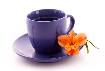 Cup of coffee and flower isolated on white