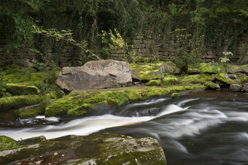 Naklejka na ściany i meble River Derwent White Water