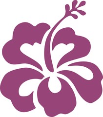 Hibiskus © Zellnon