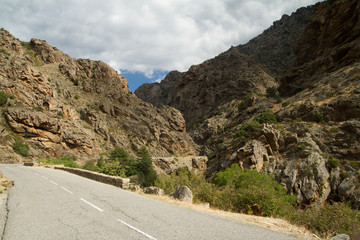 montagne corse (calacuccia)