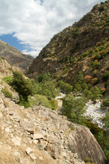 montagne corse (calacuccia)