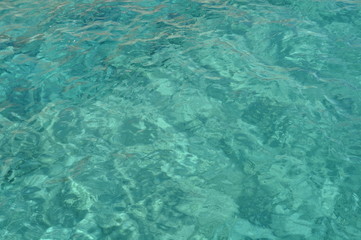 Green sea background