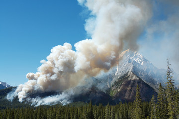 Forest fire in the Rocky Mountains