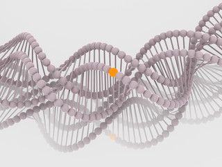 Gene in DNA