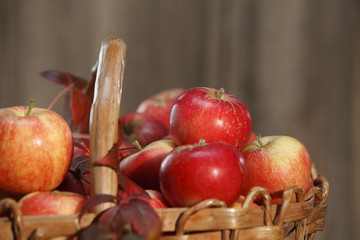 Applebasket closeup with leaves