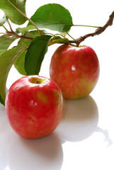 pomme