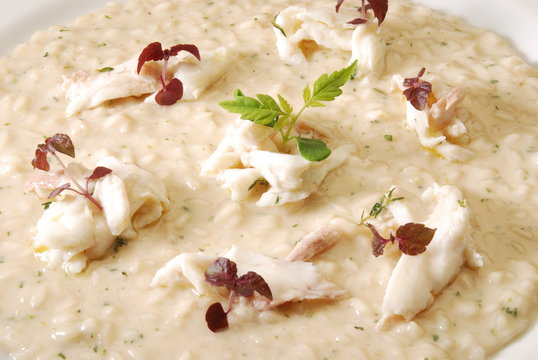 Primi Bilder Durchsuchen 6,327 Archivfotos, und Videos