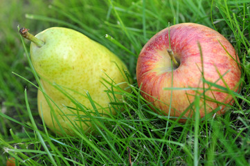 Pomme et poire dans l'herbe