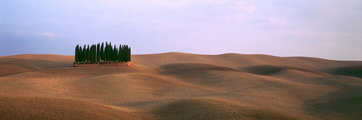 Obraz premium Zypressen auf Ackerlandschaft der Toskana, Italien
