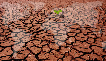 WELT  AM AUSTROCKNEN