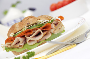 Fresh delicious sandwich