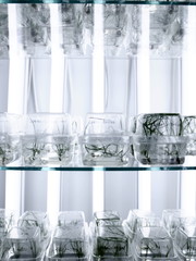 Grass in a medical lab