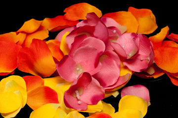 Fototapeta na wymiar Orange, yellow and pink rose textile petals
