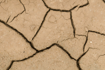 Cracks on ground induced by dry weather